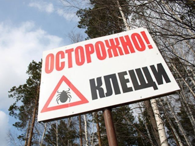 Акарицидная обработка